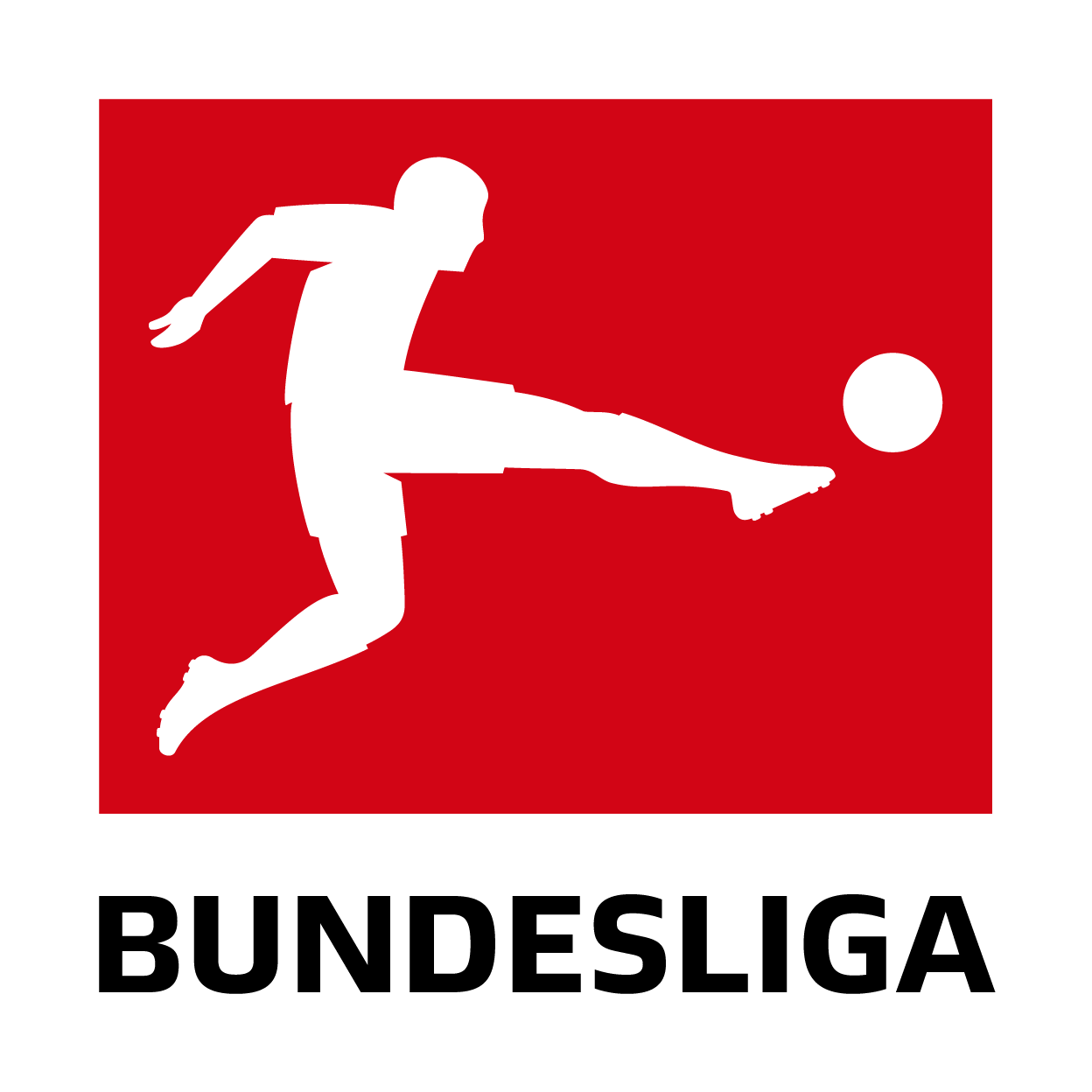 DFL Logo